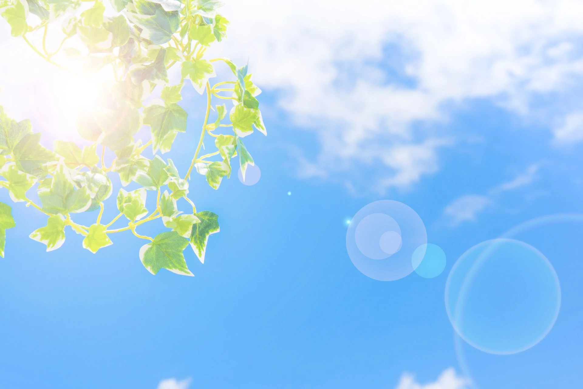AdobeStock_110569078