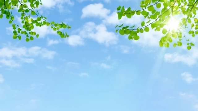 心の奥に秘めた問題を解決し、自信と愛着を手に入れよう